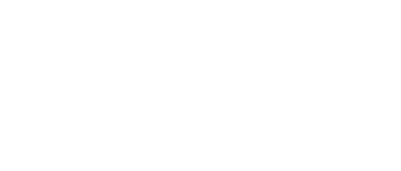 Reverse white logo